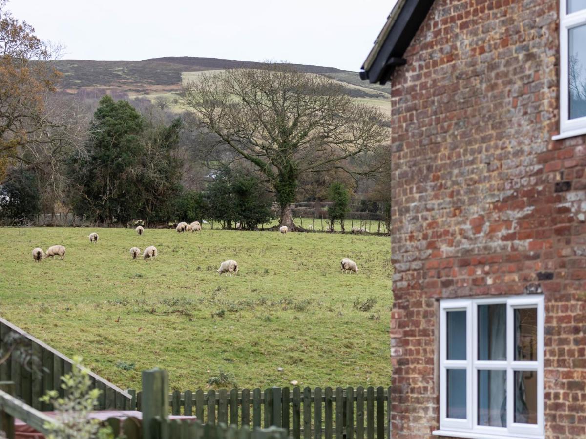 Caer Fedwen Barns Clwyd Cottage Two Bed, Barn Conversion With Private Hot Tub Bodfari المظهر الخارجي الصورة